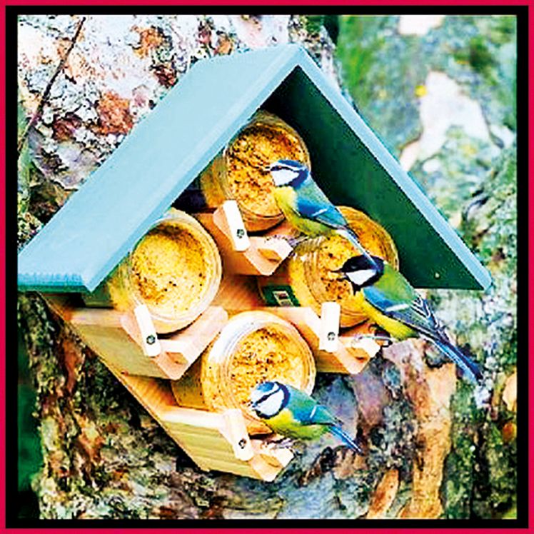 Stačí jen kus desky nebo prkno, na něj přidělejte nádobky, do kterých dáte dobroty,