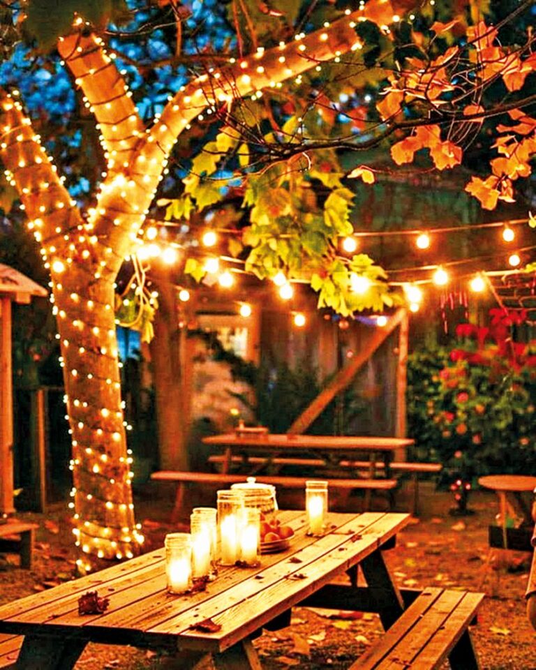 Ozdobte světýlky a žárovkami stromy a keře.