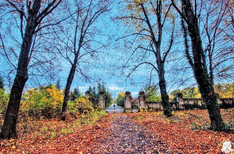 Bohnice: Vyhlášený hřbitov bláznů je určitě tím nejslavnějším. Hlasy a úpění tu děsí dodnes.