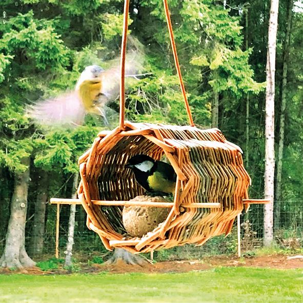 Skvěle poslouží i proutěná klasika,