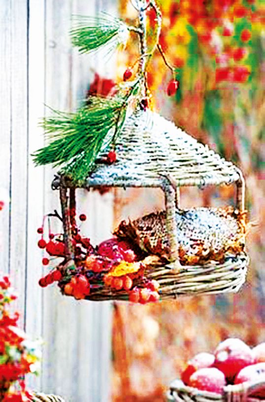 Krmítka jsou v chladných měsících pro opeřence nepostradatelná.