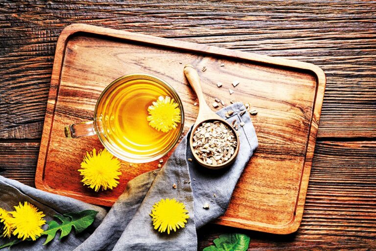 Pampeliška se dá využít celá – od květů po kořeny. Čaj z kořene oceníte při spoustě různých problémů.