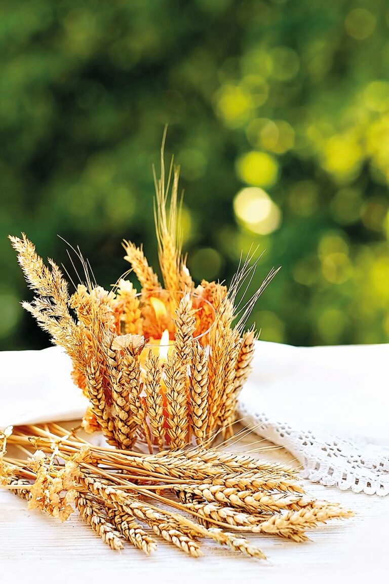 Svícen ozdobí i obilné klasy,
