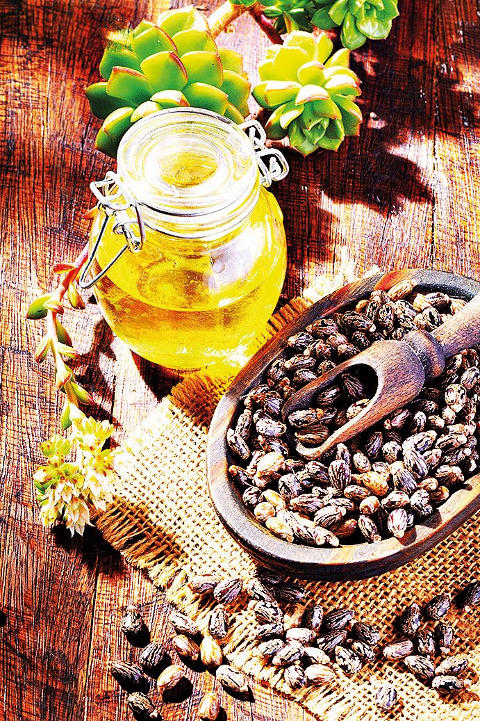 Ricinový olej dodá výživu a krásu nejen obočí, ale i řasám.