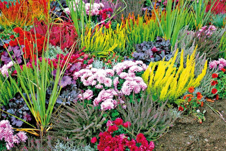 Podzim nedostatkem barev rozhodně netrpí.