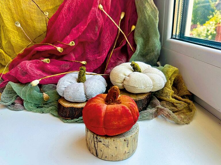 H . Hotové dýně pslouží třeba jako polštářky nebo dekorace na pohovku,