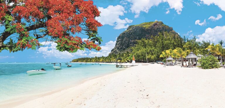 Jen rozložit osušku, drink do ruky a slunit se!