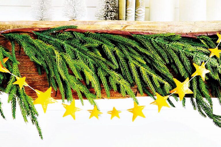 Girlanda z pomerančové kůry