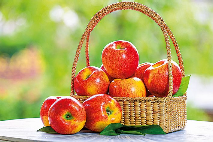 Nejlepší jablka jsou ta přímo ze zahrádky.