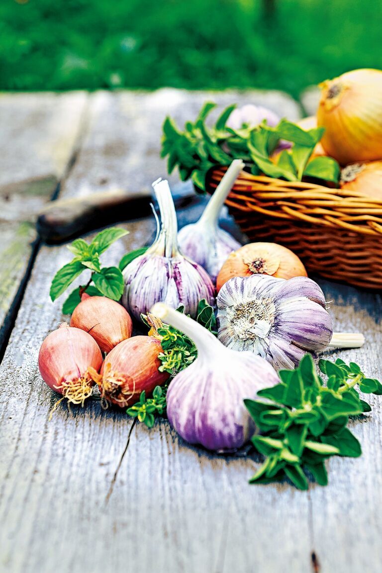 Česnek a cibule patří k silným přírodním prostředkům proti plísním a kvasinkám.