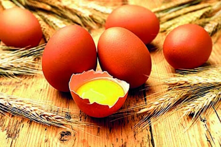 Začněte výživou, která dodá vlasům lesk