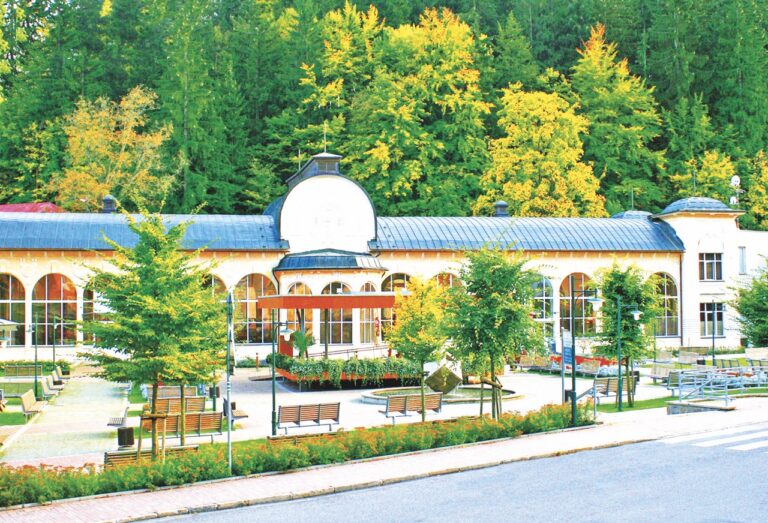 První teplý pramen byl v Janských Lázních objeven už v roce 1006.