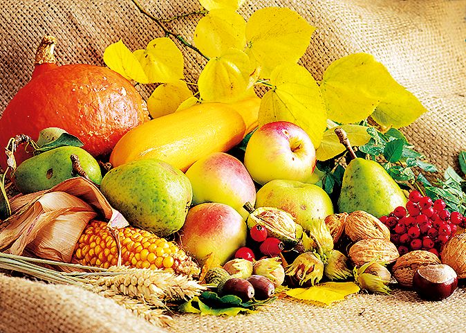 Sezonní ovoce dodá energii a tu správnou výživu pro tělo.