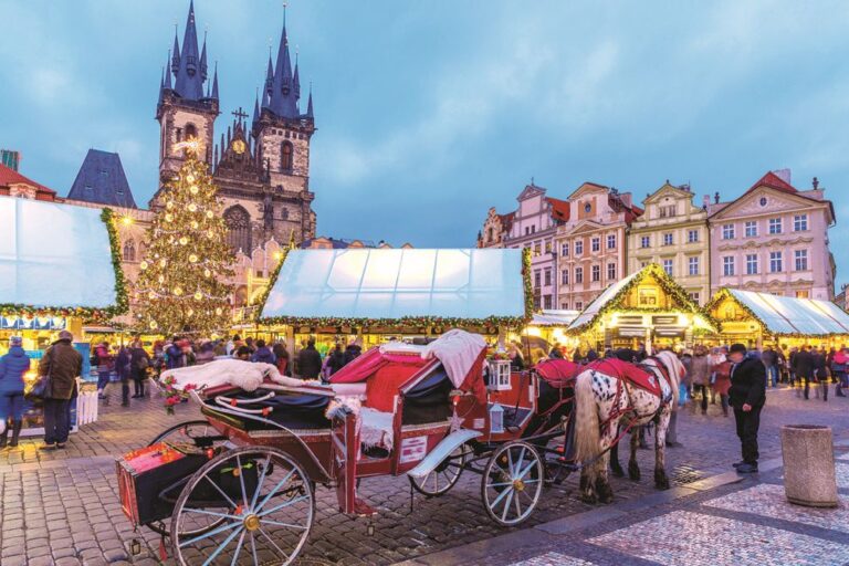 Nechte se povozit v kočáře taženém koňmi. Budete si připadat jako v pohádce.
