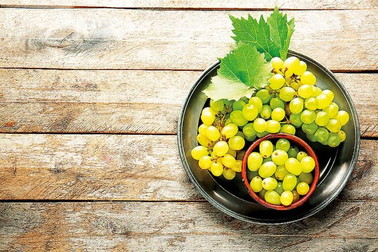 Využijte podzimní nabídku zralých hroznů.