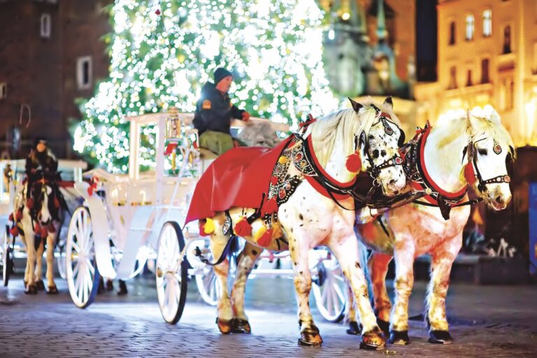 Po Krakově se můžete projet i v kočáře taženém koňmi.