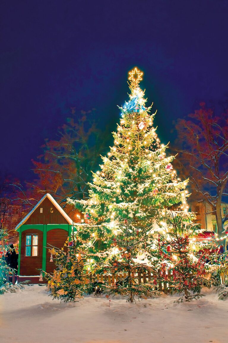 Litoměřice: Letos se můžete těšit na speciální výzdobu, jaká tu prý ještě nebyla.