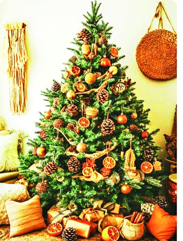 Příjemná vůně jehličnanu je ovšem vykoupena poměrně nízkou výdrží.