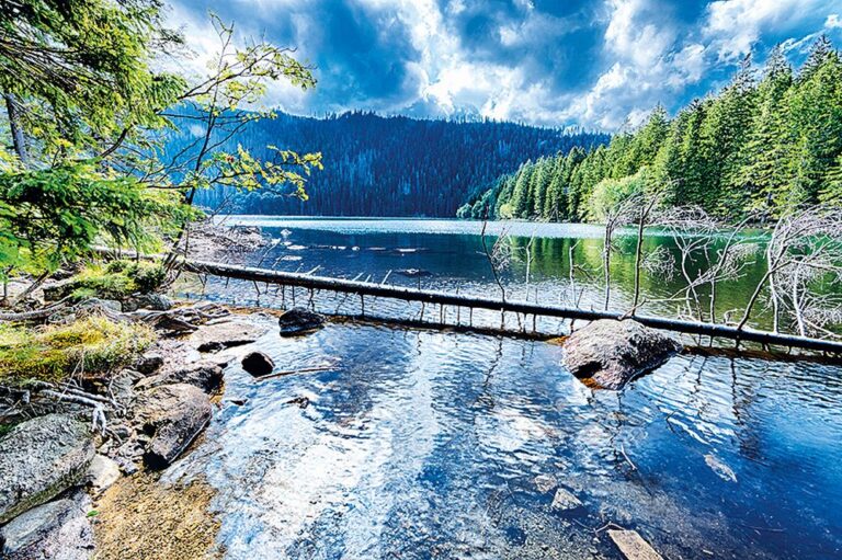 Kolem Čertova jezera je příroda skutečně nádherná.