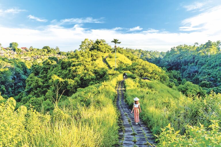 Zážitkem je i dvoukilometrová vycházka po Campuhanu.