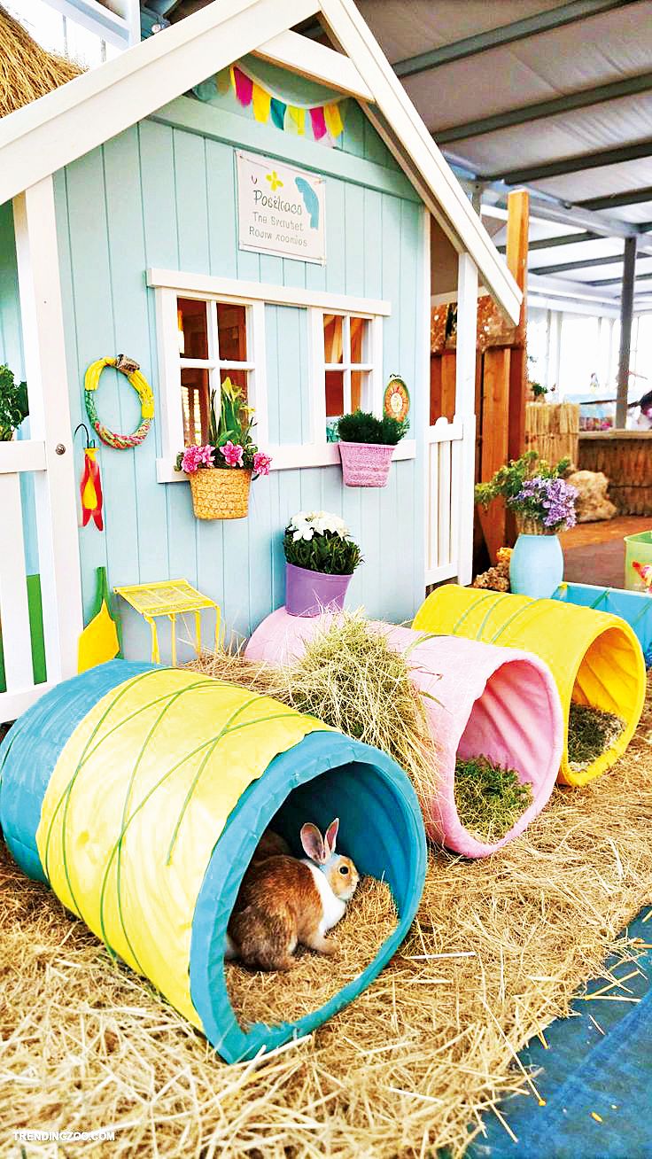 Tunely králíky budou bavit.