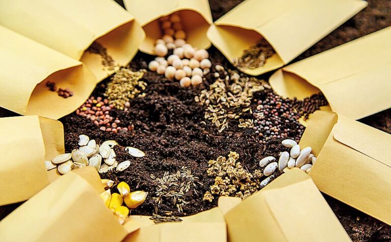 Některé nové metody umožňují pěstování jinak, než jsme byli zvyklí.