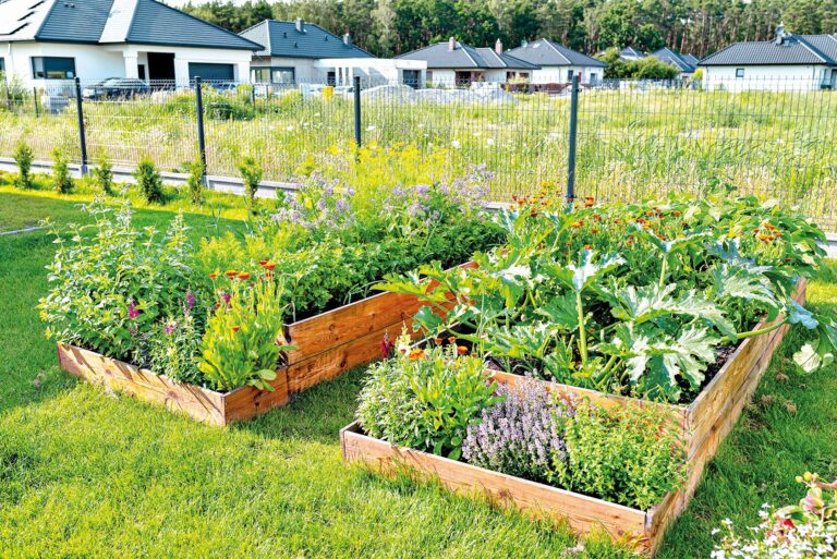 Buďte soběstační a vypěstujte si vlastní poklady plné chutí a barev.