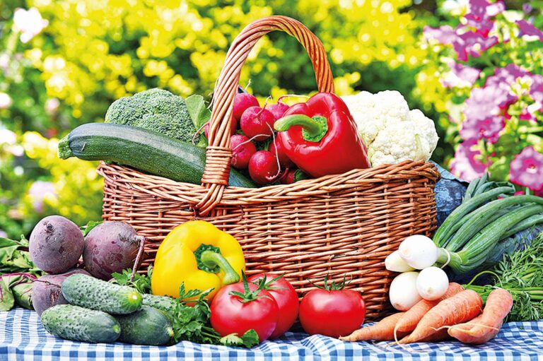 Nic neudělá takovou radost jako bohatá sklizeň, na které jste se tolik nadřeli.