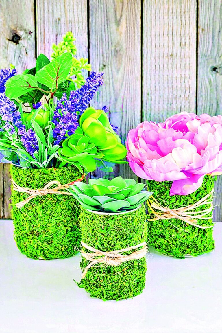 Objevte mechové kouzlo