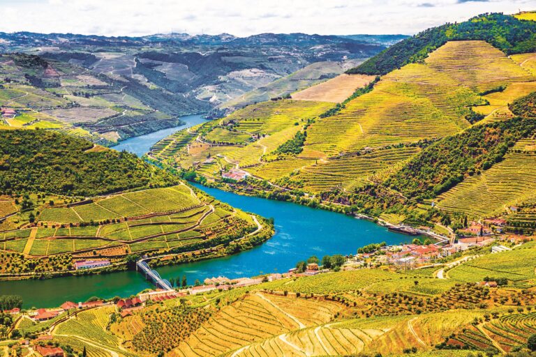 Alto Douro: Slavná portugalská vinařská oblast, zde se pěstovalo víno už před dvěma tisíci lety.