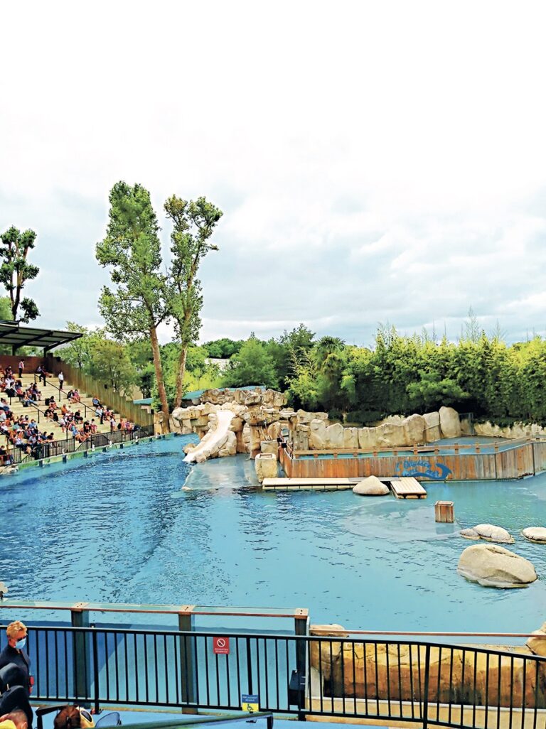 V Antibes můžete navštívit vodní ZOO a vidět delfíny.