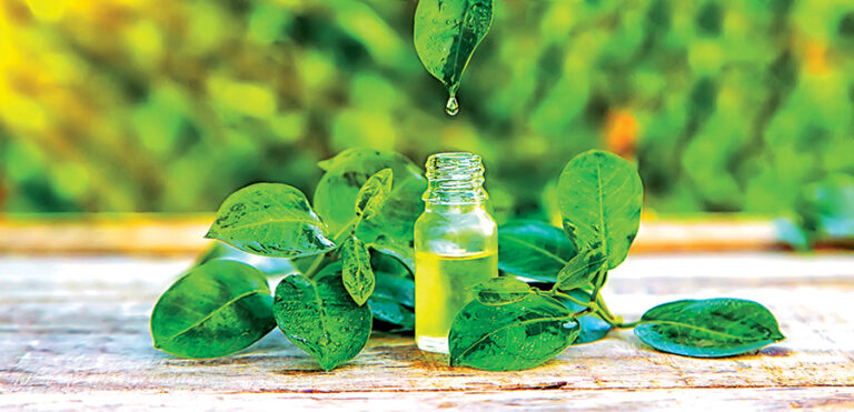Postižené místo můžete potřít i olejíčkem tea tree.