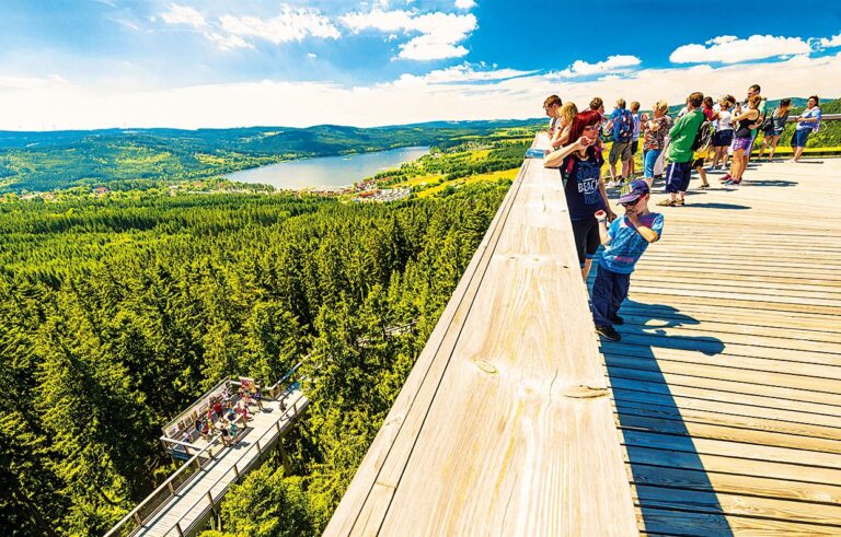 Lipno: Ze Stezky v korunách stromů je krásný výhled na přehradu a její okolí.