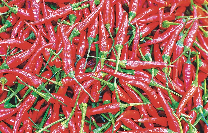 Chilli papričky blokují hlad.