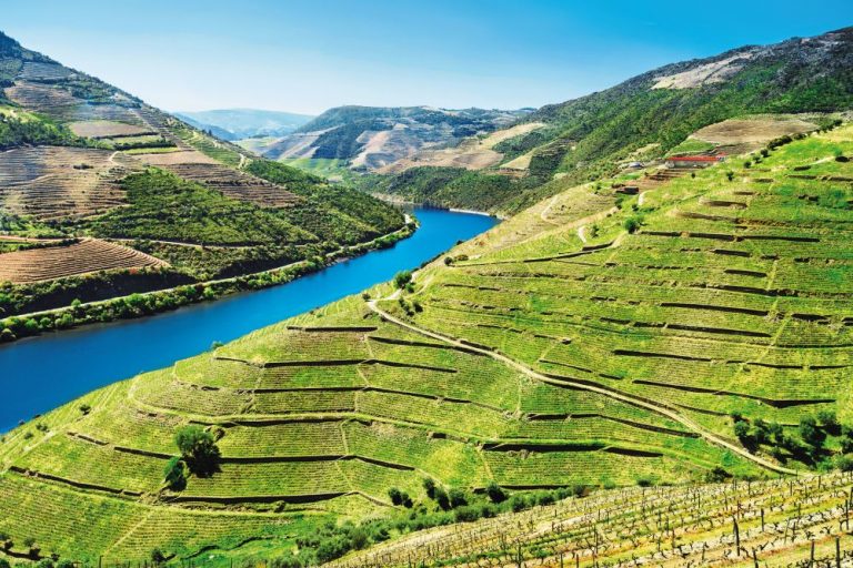 Tady se rodí portské, ale i jiná vína. Údolí řeky Douro připomíná jižní Moravu, že?