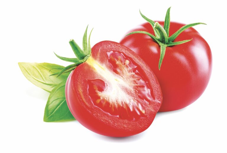 Pokud nedáte ani ránu bez slunce, jezte rajčata.