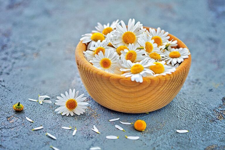 Oplach z heřmánku dodá blond vlasům přirozený nádech.