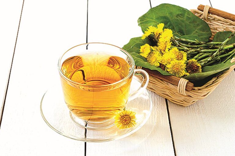 Bylinky vám pomůžou za každého počasí.