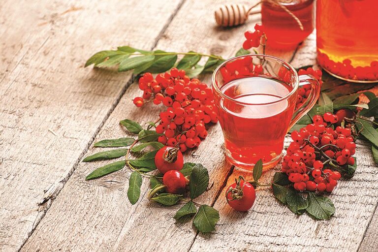 Šípkový čaj obsahuje spoustu vitaminů.