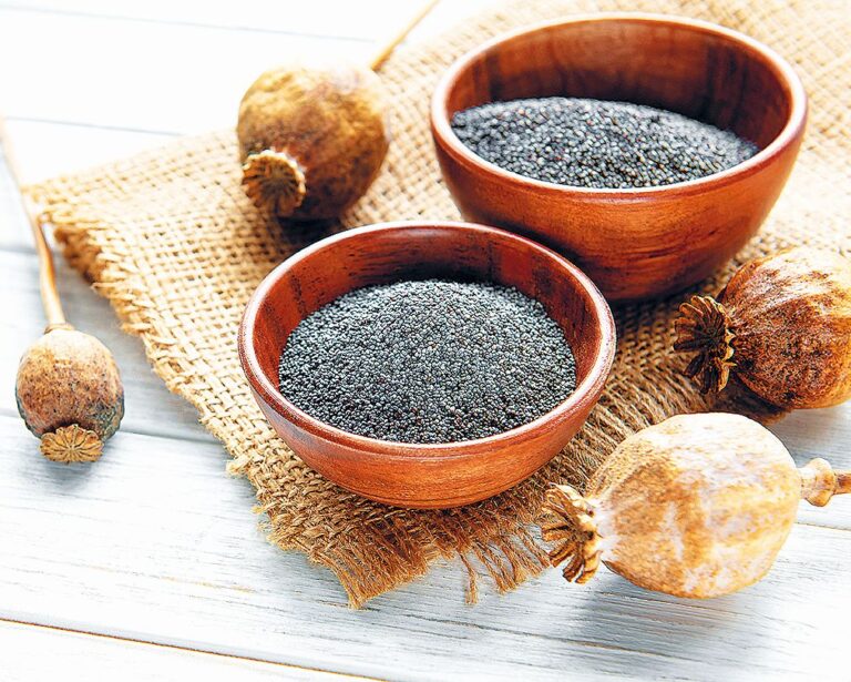 Náš český mák je hotovou zásobárnou vápníku.