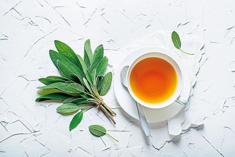 Šalvěj si poradí s nadměrným pocením