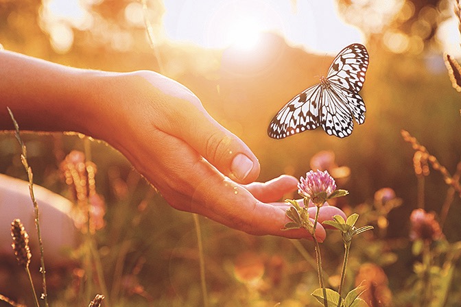 Ten tvoreček se tu neobjevil jen tak.