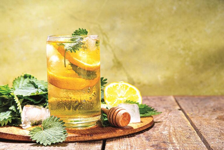 Kopřivový čaj je elixír mládí pro vaši pleť.