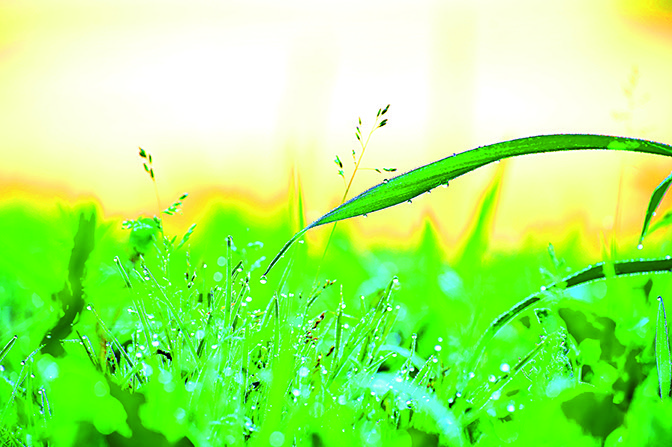 Načerpejte sílu v přírodě.