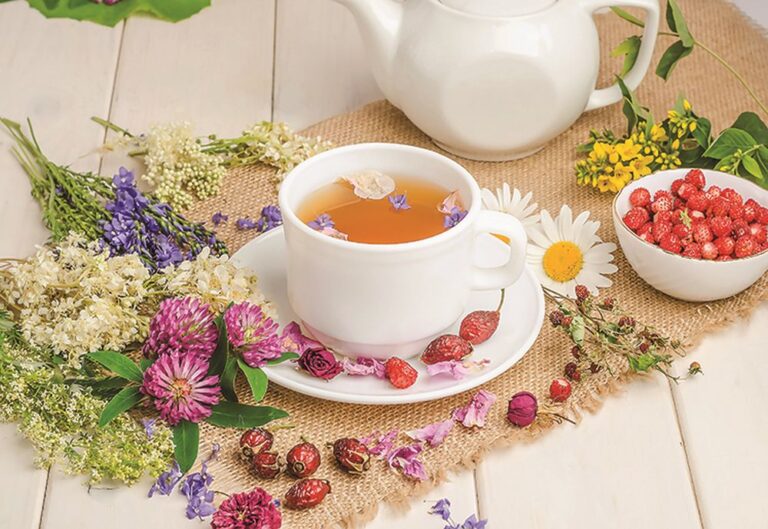 Čaj z černého bezu čistí lymfatický systém.