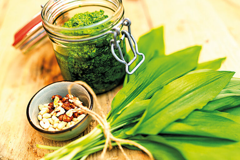 Aby si medvědí česnek zachoval co nejvíce zdravotních benefitů, nejlepší je konzumovat ho syrový.