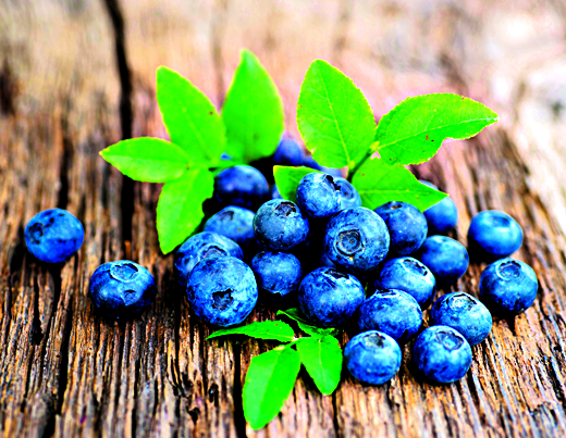 Borůvky patří mezi přírodní antioxidanty.