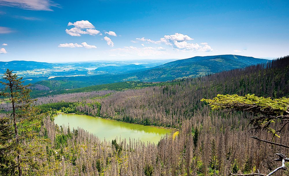 Plešné jezero